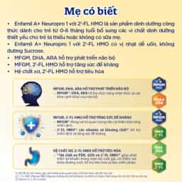 Sữa bột cho bé Enfamil A+ NeuroPro số 1 400g (0 - 6 tháng tuổi) 2Flex - img_01KBWRZMB8PZE2FQQ120Y9J8MZ