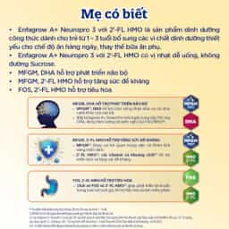 Sữa bột cho bé Enfagrow A+ Neuropro số 3 830g (1 - 3 tuổi) 2Flex - img_01KBWRZPD79G8SDGBNKA0A6DZR