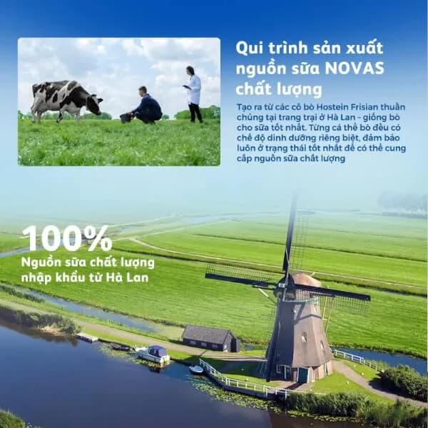 Sữa bột cho bé Frisolac Gold số 2 850g (6 - 12 tháng tuổi)