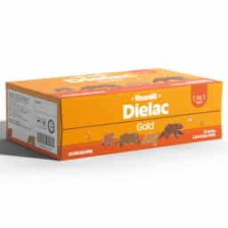 Sữa bột pha sẵn Vinamilk Dielac Gold 180ml (lốc 4 hộp, trên 1 tuổi) - img_01KBWRZFKXBCCRXF7CP2X8E97V