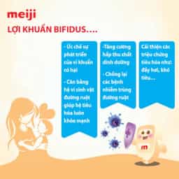 Sữa bột cho bé Meiji Infant Formula 800g (0 - 12 tháng tuổi) - img_01KBWRZMGV66TYA9AGP0PET5DN