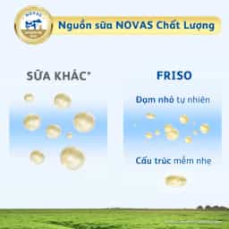 Sữa bột cho bé Frisolac Gold số 1 380g (0 - 6 tháng tuổi) - img_01KBWRZF8QCZPQDTW9Y161GQ3P