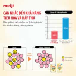 Sữa bột cho bé Meiji Infant Formula 800g (0 - 12 tháng tuổi) - img_01KBWRZMGV8ANKMPA3ECBTSP0F