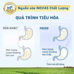 Sữa bột cho bé Frisolac Gold số 1 380g (0 - 6 tháng tuổi) - img_01KBWRZF8QRSXGWWM6DAPS8JJV